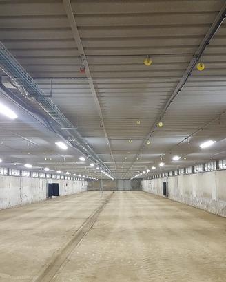 Plafoniera Beghelli BS 101 RBP 136