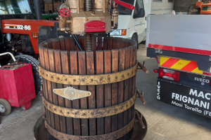 Torchio idraulico da uva borsello 70