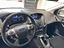 Immagine 14