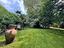 Immagine 11