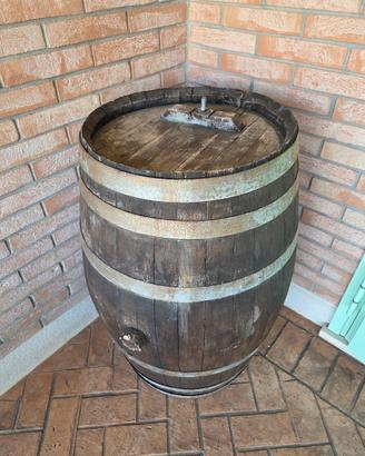 Botte 