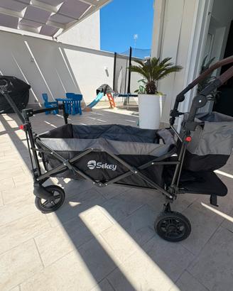 Passeggino-Wagon-Carrello