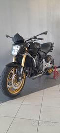 Hornet 600