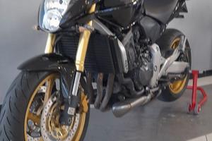 Hornet 600