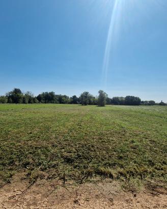 Terreno agricolo