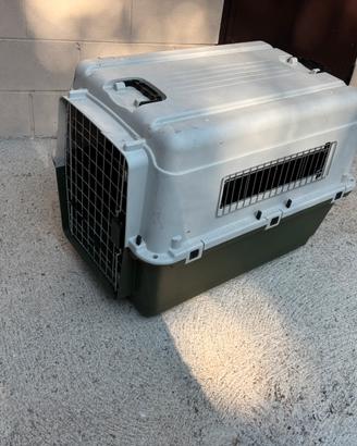 Kennel Trasportino/cuccia per cani