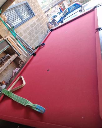 Carambola king Garlando