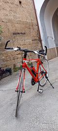 bici ibrida 