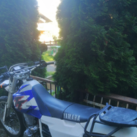 Yamaha tt