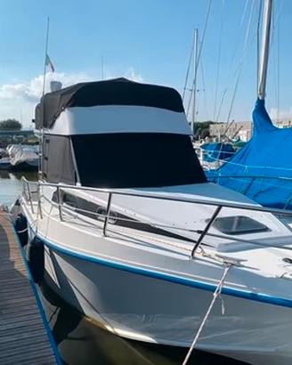 Ala Blu Proteo 28 Fly