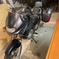 Suzuki freewind 650