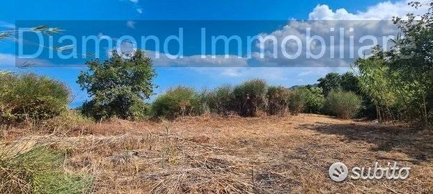 Terreno agricolo 3.800 mq panoramico a san gerardo - Vista 5