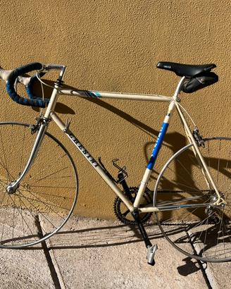 Chesini bici