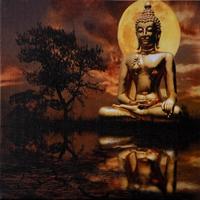 Quadro Fotografico Retroilluminato