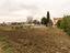 Immagine 21