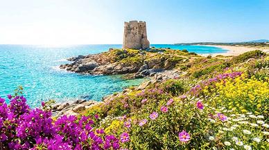 Il tuo angolo di paradiso low-cost: Mare, Pineta e