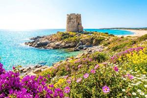 Il tuo angolo di paradiso low-cost: Mare, Pineta e