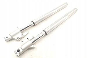 Suzuki VZ 800 Marauder Sospensione anteriore force