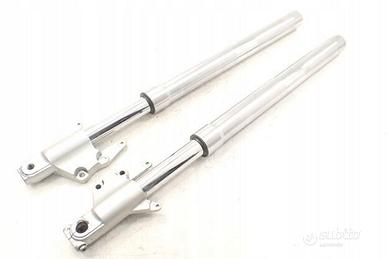 Suzuki VZ 800 Marauder Sospensione anteriore force