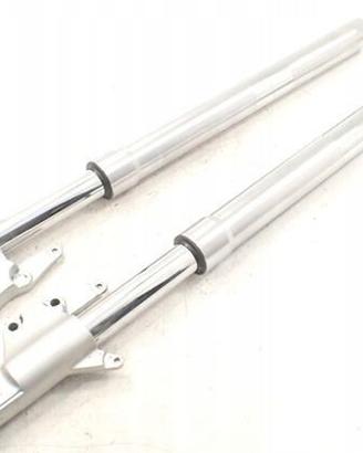 Suzuki VZ 800 Marauder Sospensione anteriore force