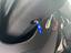 Immagine 14