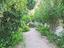 Immagine 11
