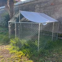 Box per cani