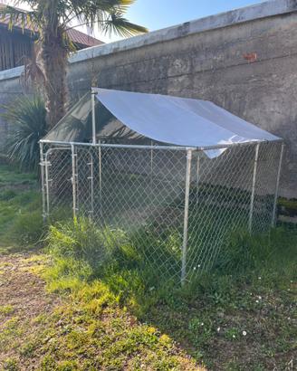 Box per cani