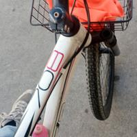 bici rodato 28