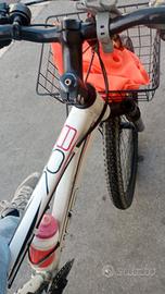 bici rodato 28