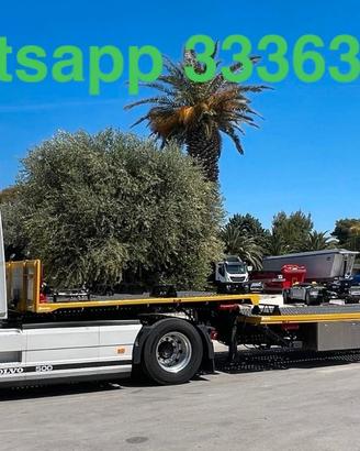 Volvo fh500 euro 6 + sem.rim. carrellone