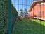 Immagine 13