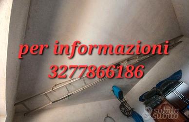 Potatura scala 6 metri 12 gradini