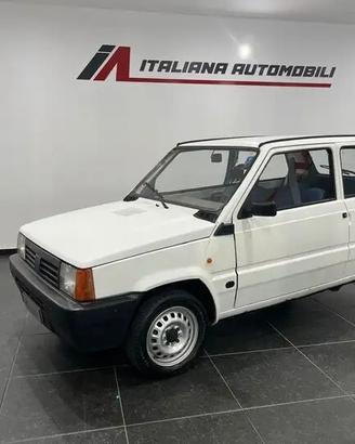 Fiat Panda 900 i.e. cat Young