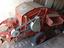 Immagine 4