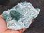 Immagine 3