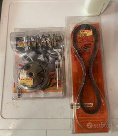 Variatore malossi  + cinghia