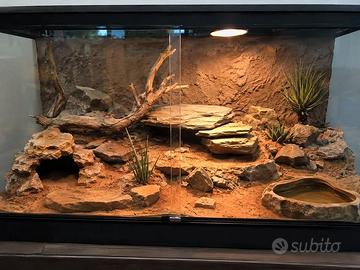 Sfondi 3D su misura per terrari – Gechi e rettili
