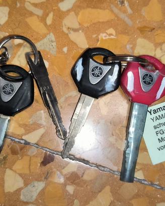 Kit chiavi TDM 900