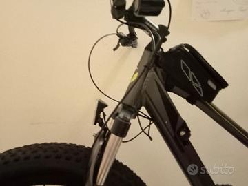 Fat bike elettrica