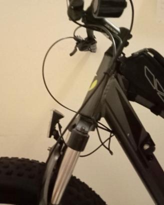 Fat bike elettrica