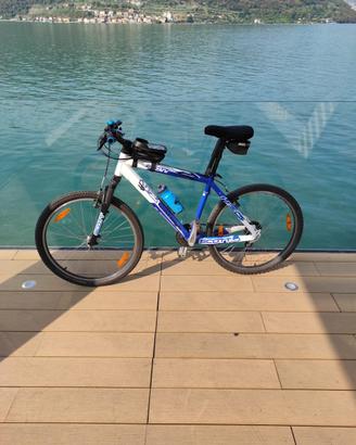 Bicicletta Scott