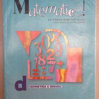 Libro di Matematica(volume d)
