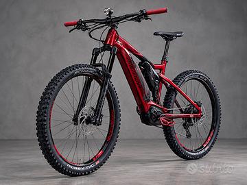E-bike  usata