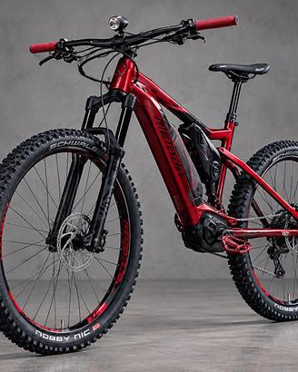 E-bike  usata