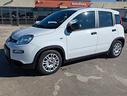 fiat-panda-1-0-firefly-s-s-hybrid-2023