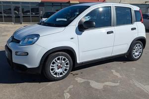 Fiat Panda 1.0 FireFly S&S Hybrid 2023