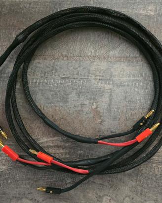 Cavo di potenza QED Multicore da 1,5 metri - NUOVI