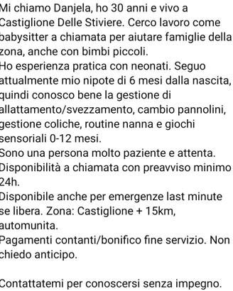 Babysitter