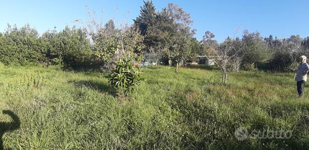 Terreno Agricolo Livorno [Cod. rif 3189764VCG]